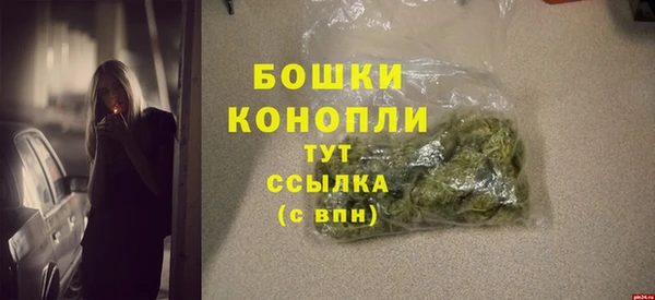 эйфоретик Вяземский