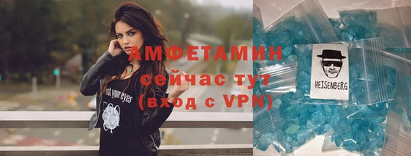 эйфоретик Вяземский