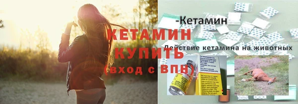 СК Вязьма