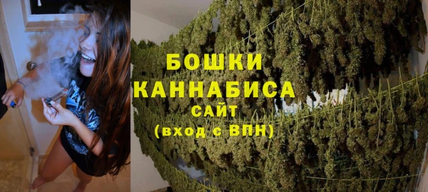 СК Вязьма