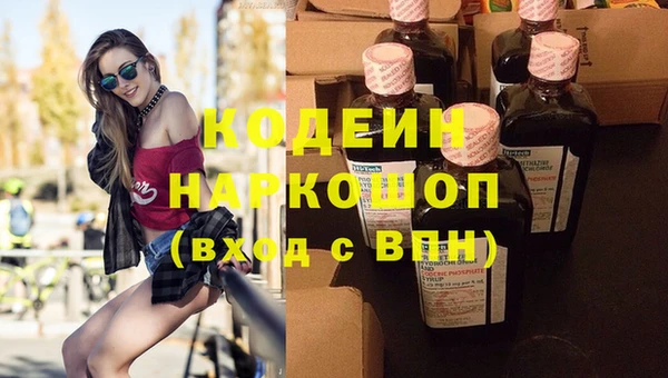 эйфоретик Вяземский