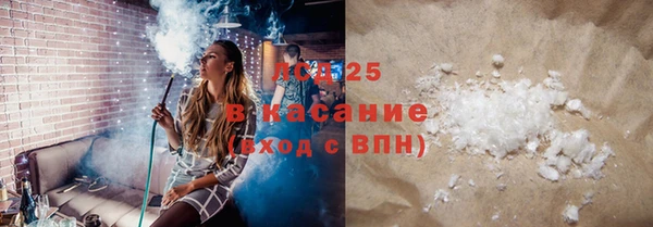 эйфоретик Вяземский