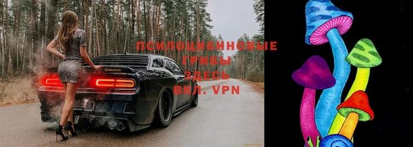 СК Вязьма