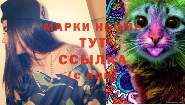 СК Вязьма